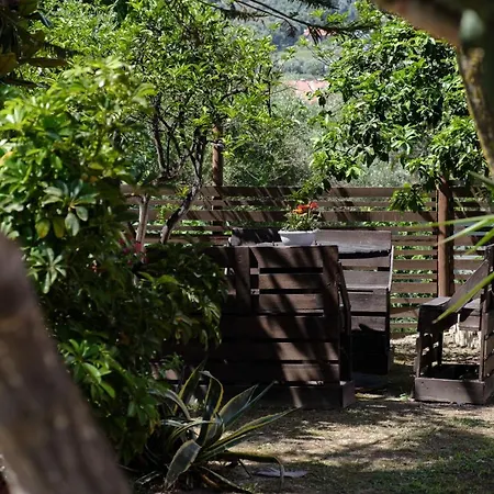 Mouzakitis 4 Appartement *